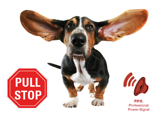 DOG e walk Basic PatentoPet
